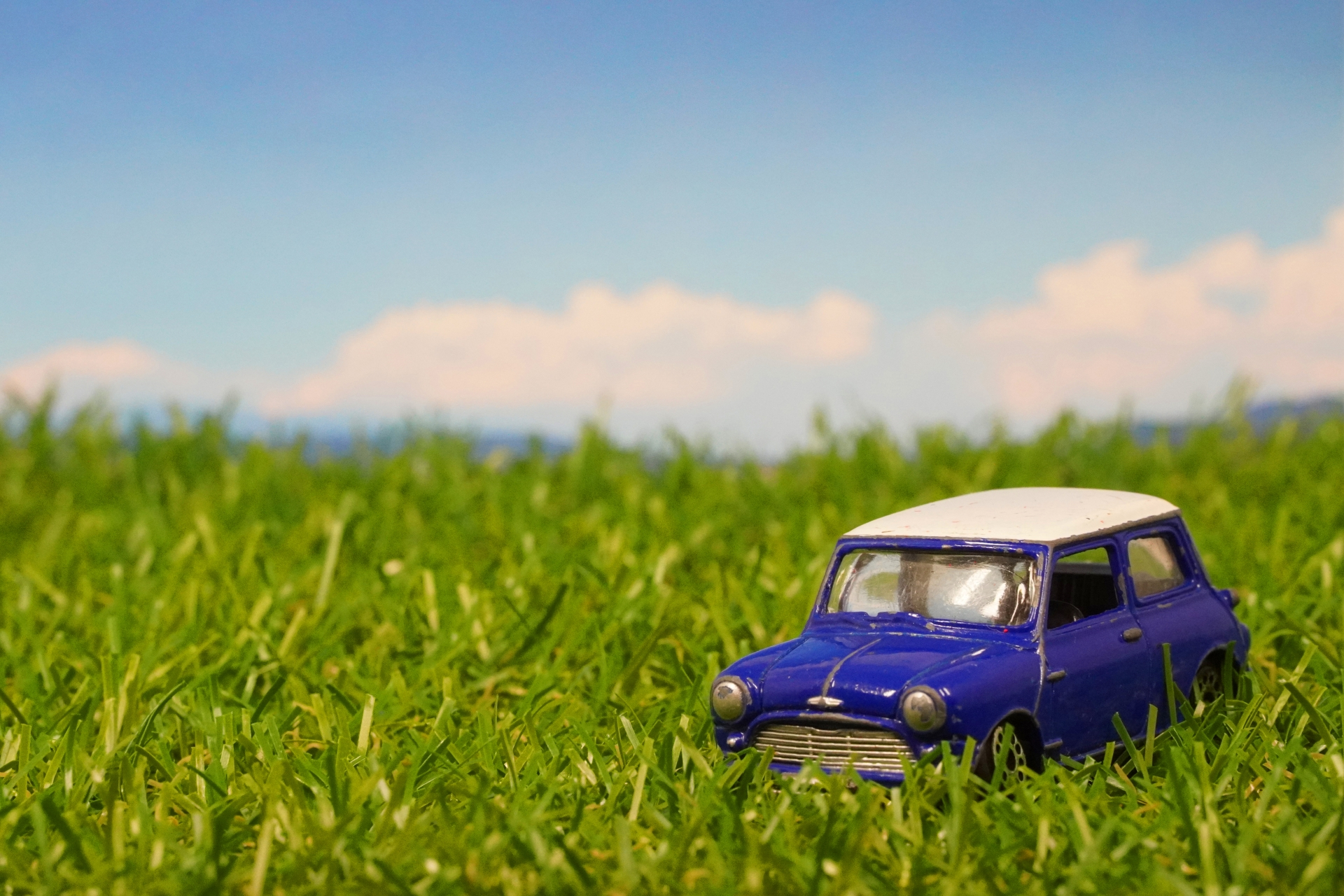 草原とおもちゃの車